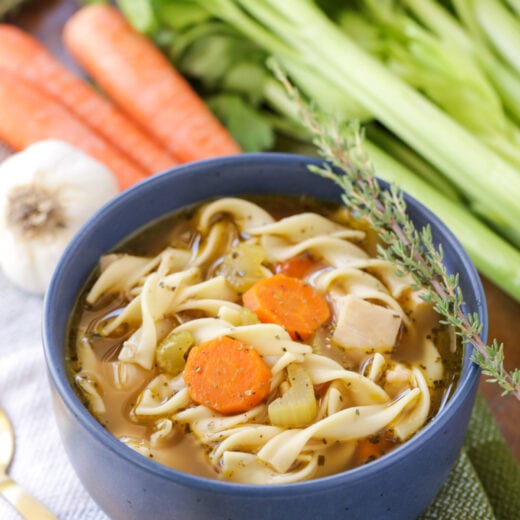 Homemade Chicken Noodle Soup Recipe | Lil' Luna