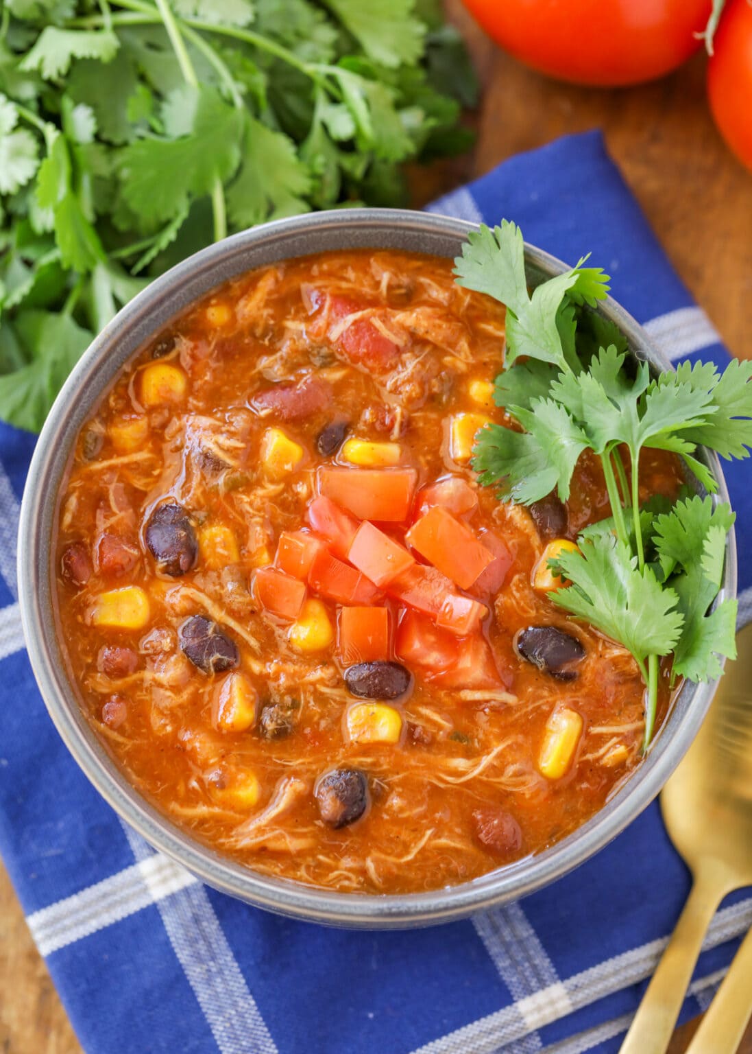 easy-chicken-taco-soup-in-the-crock-pot-lil-luna