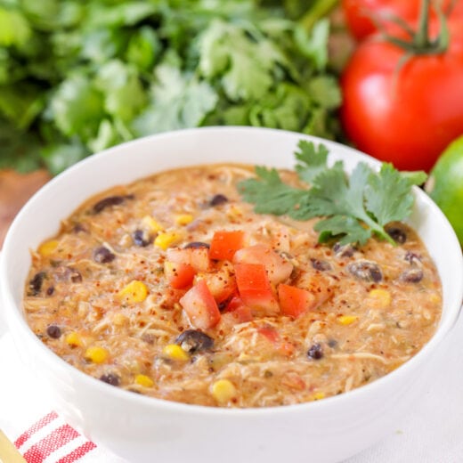 Easy Crockpot Taco Soup Recipe | Lil' Luna