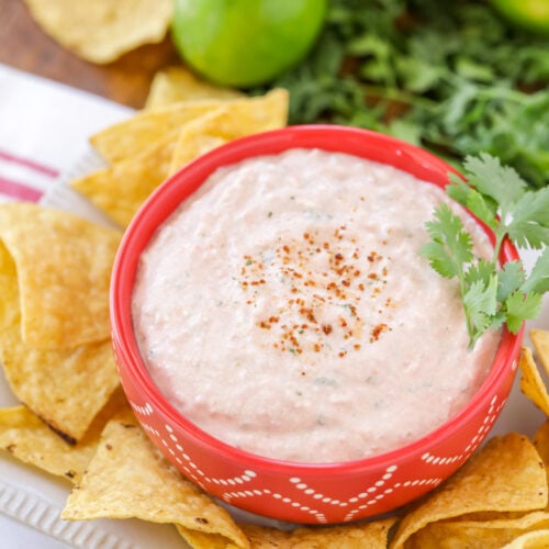 Cream Cheese Salsa Dip {Just 2 Ingredients!} Lil' Luna