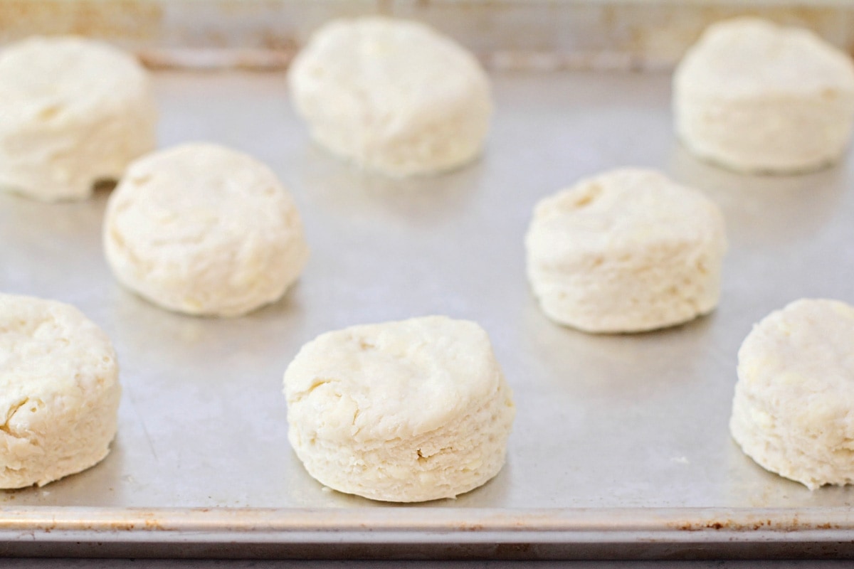 Cut easy biscuits, ready for baking.