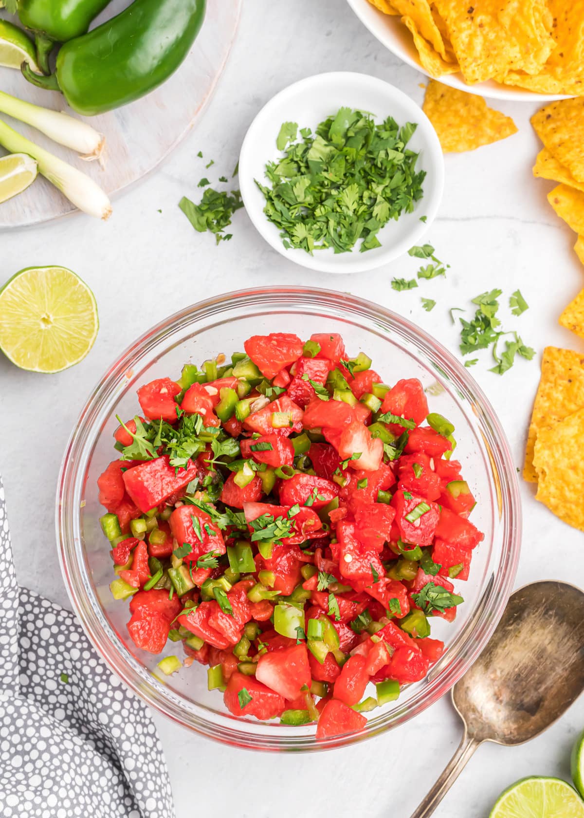 Watermelon Salsa Recipe