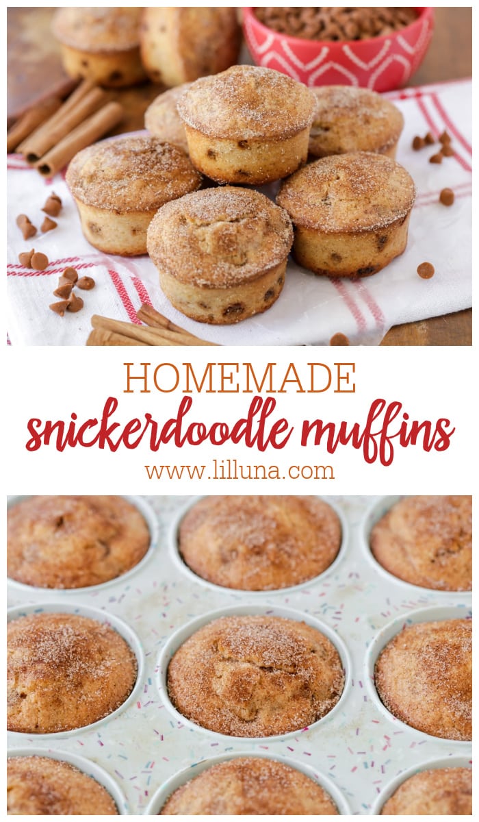 Snickerdoodle Muffins {Cinnamon + Sugar Topping} Lil' Luna