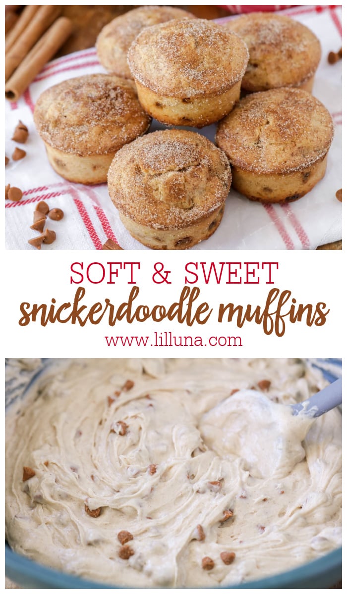 Snickerdoodle Muffins {Cinnamon + Sugar Topping} Lil' Luna