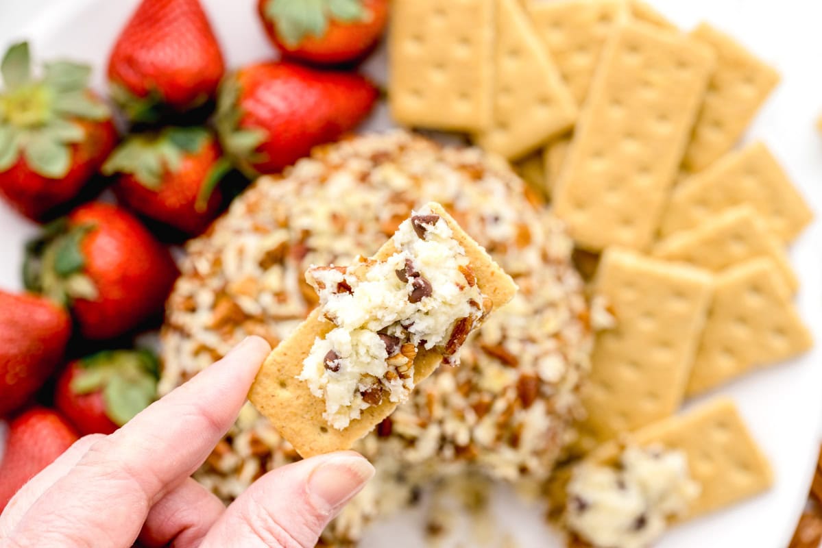 Scooping chocolate chip cheese ball onto graham crackers.