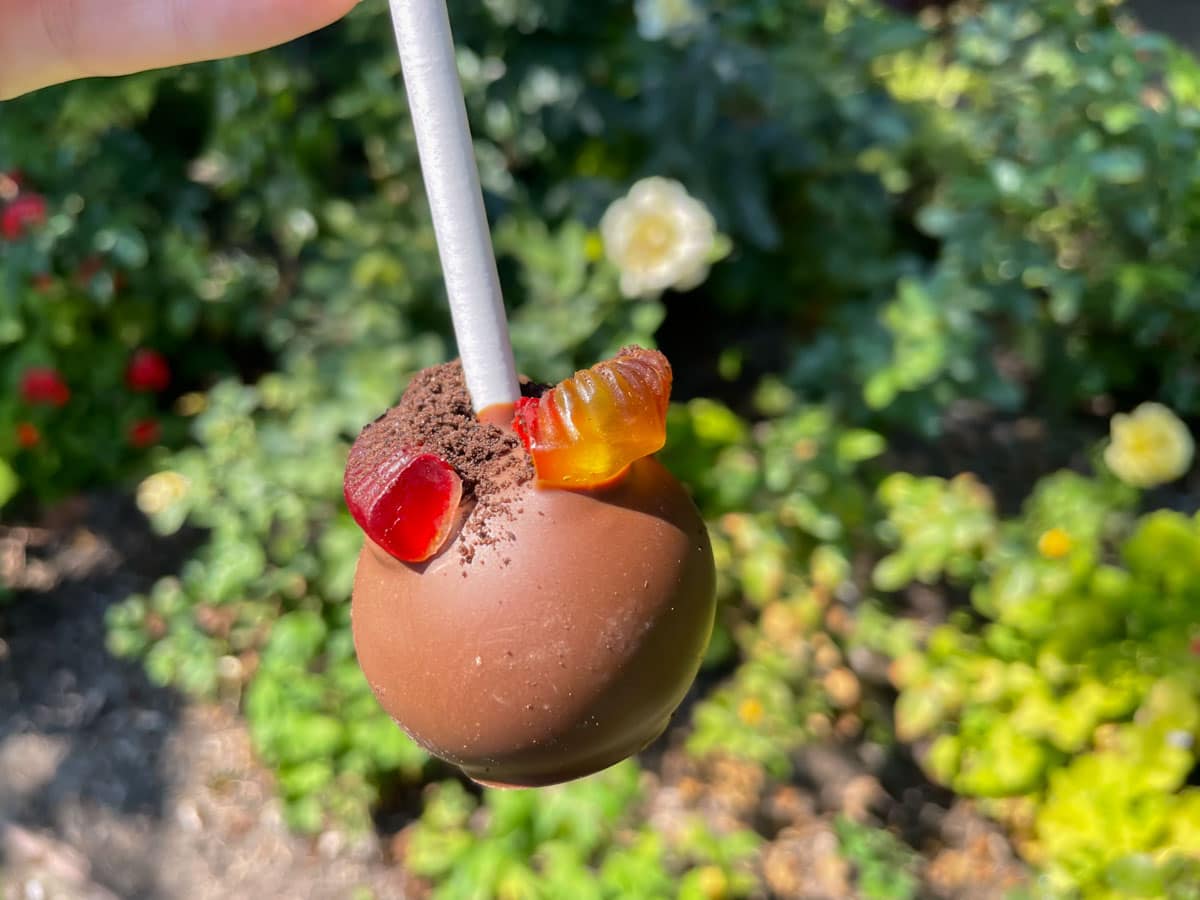 Dirt and worm cake pop from Disneyland.