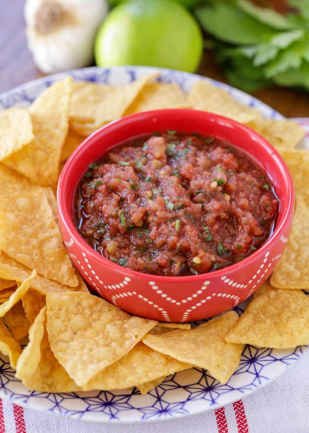 The BEST Homemade Salsa (RestaurantStyle) + VIDEO Lil' Luna