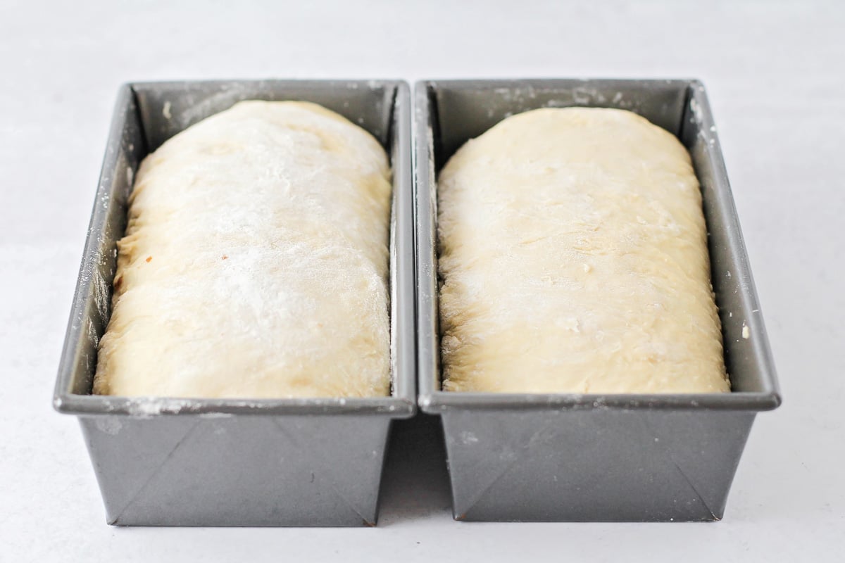 Dough risen in bread pans.
