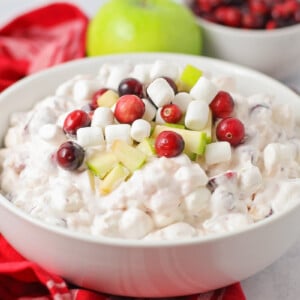 Cranberry Salad topped with fresh cranberries and apples.