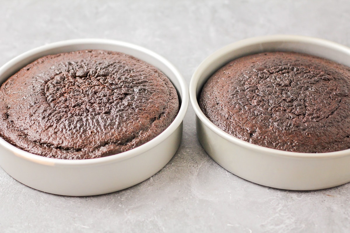 Chocolate cake baked in round cake pans.