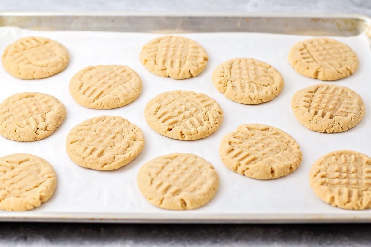 Peanut butter cookies baked and lined on a baking sheet.