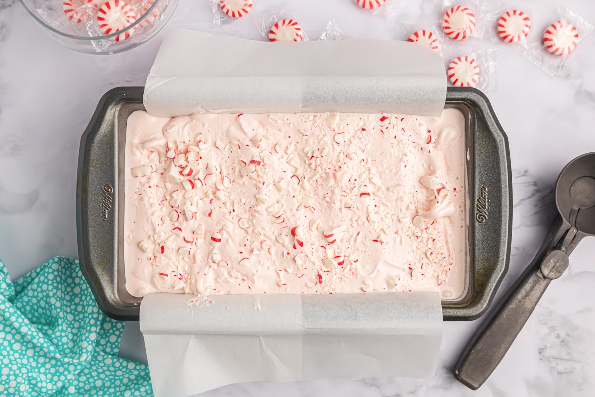 Peppermint ice cream mixture ready to be frozen.