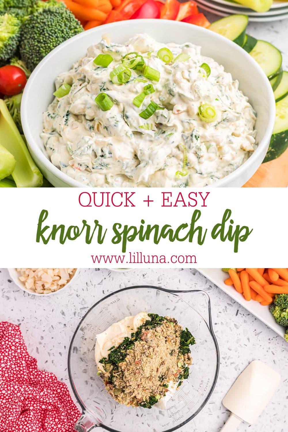 knorr-spinach-dip-made-in-minutes-lil-luna