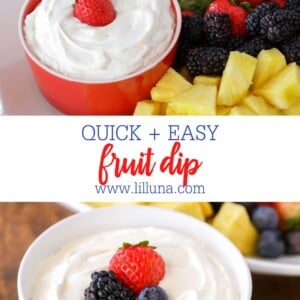 https://lilluna.com/wp-content/uploads/2023/01/Quick-Easy-Fruit-Dip-Collage-300x300.jpg