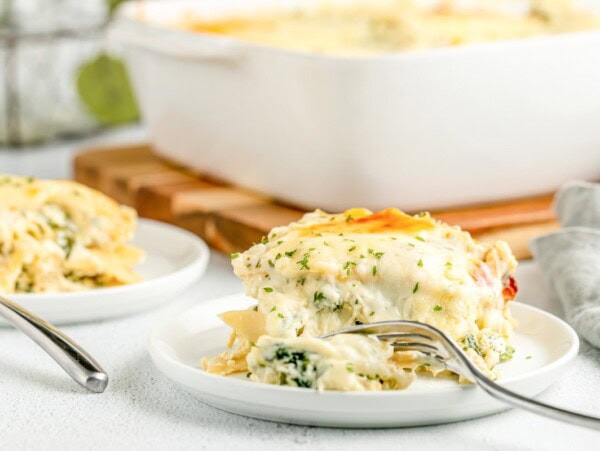 A slice of chicken lasagna served on a plate.
