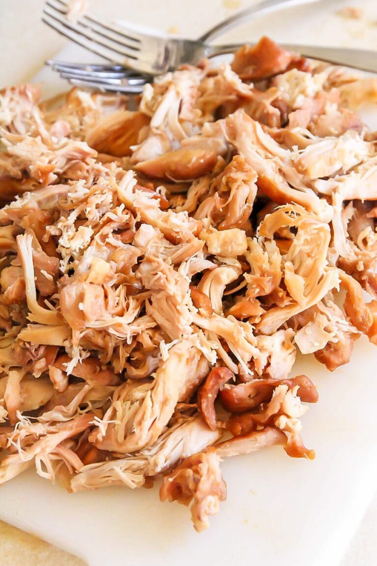 Crock Pot Teriyaki Chicken {Homemade Sauce!} Lil' Luna