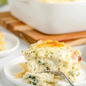 cropped-chicken-lasagna-resize-21.jpg