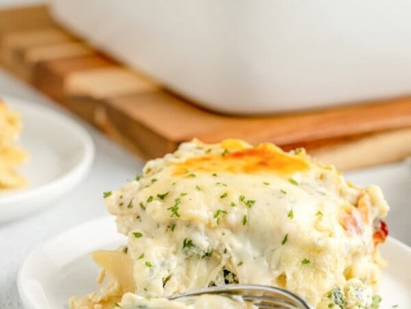 cropped-chicken-lasagna-resize-21.jpg