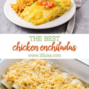 The BEST Chicken Enchilada Recipe {+VIDEO} | Lil' Luna