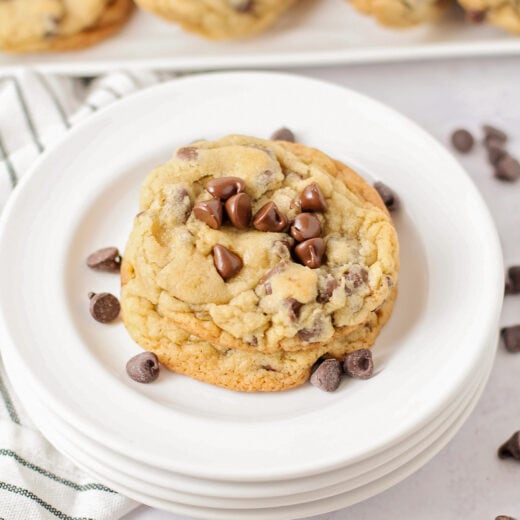 The Best Chocolate Chip Cookies Recipe (+VIDEO) | Lil' Luna