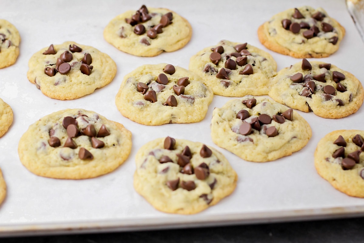 A tray of freshly baked cookies topped with chocolate chips.