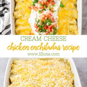 Cream Cheese Chicken Enchiladas {20 Minutes of Prep!} | Lil' Luna