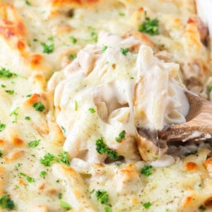 Scooping chicken alfredo bake from a pan.