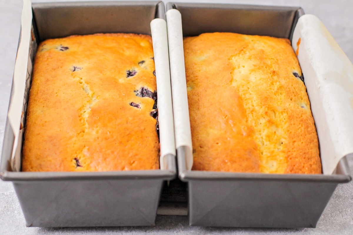 Two baked loaves of lemon blueberry bread.