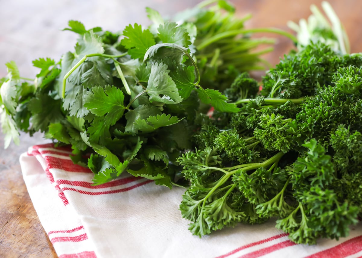 Cilantro and parsley on tea towel for herb dressing recipe.