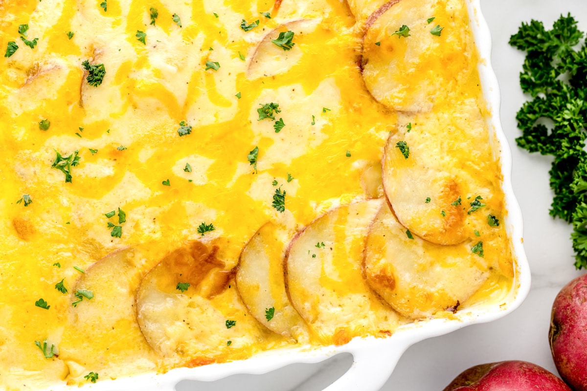 Close up of a casserole dish filled with baked potatoes au gratin.