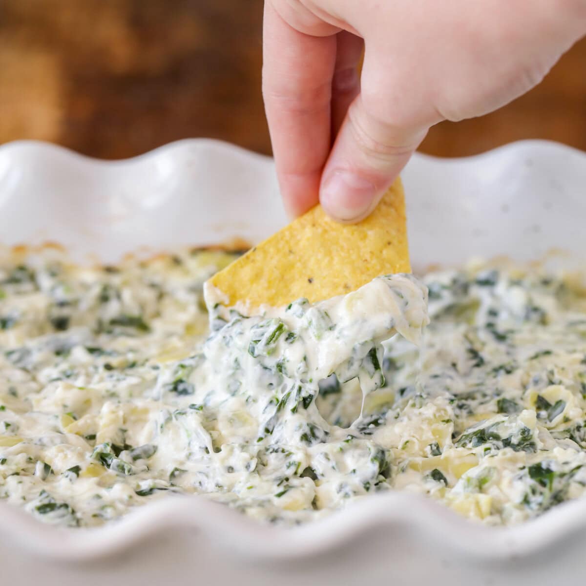 Tortilla chip scooping out some spinach artichoke dip.