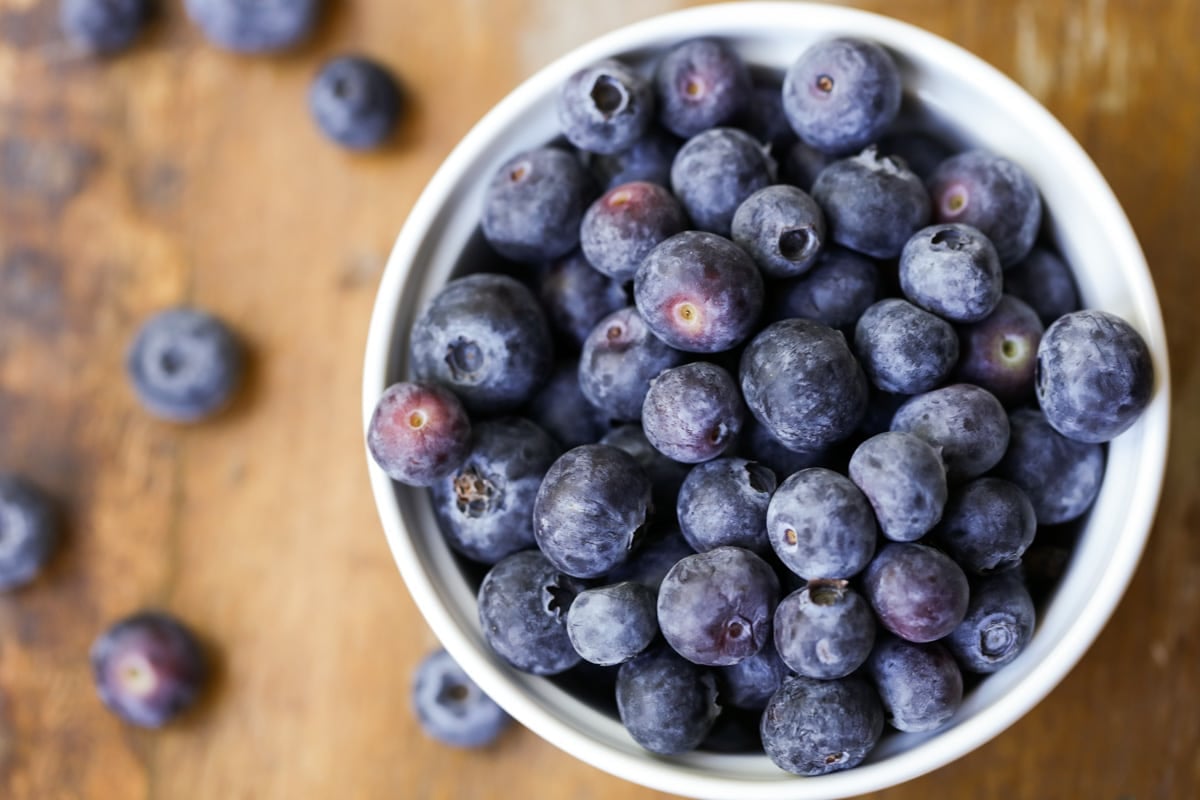 A white bowl filled with fresh blueberries.