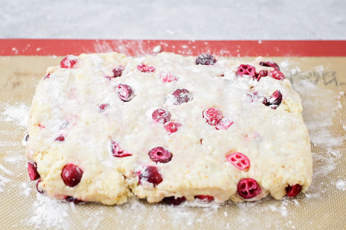 Dough studded with cranberries and shaped into a rectangle.