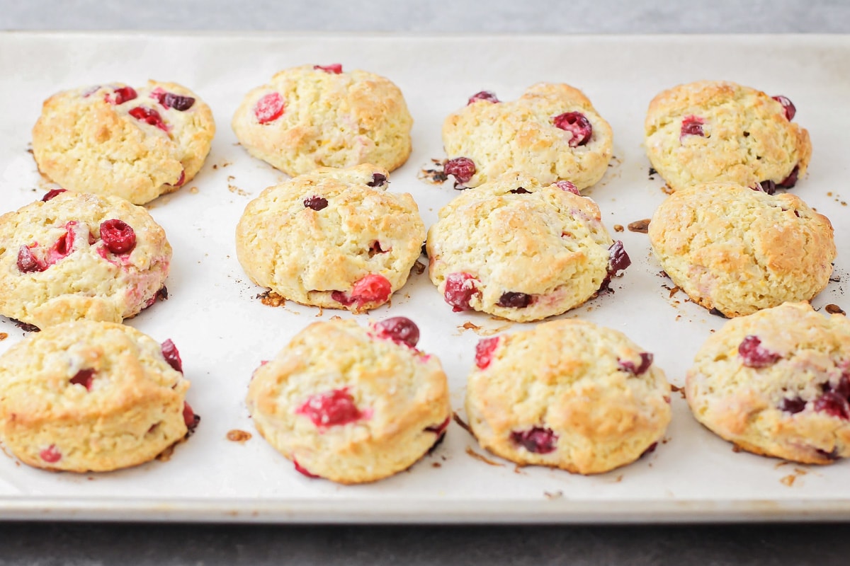 Baked scones filled with cranberry pieces.