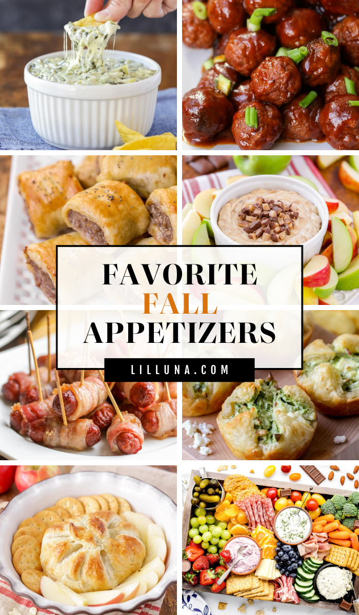 55+ Fall Appetizers | Lil' Luna