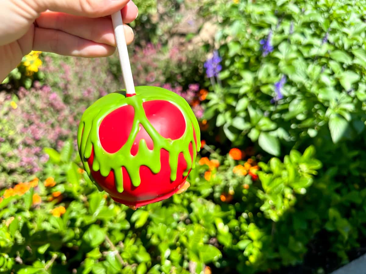 Poison Apple Caramel Apple from Disneyland.