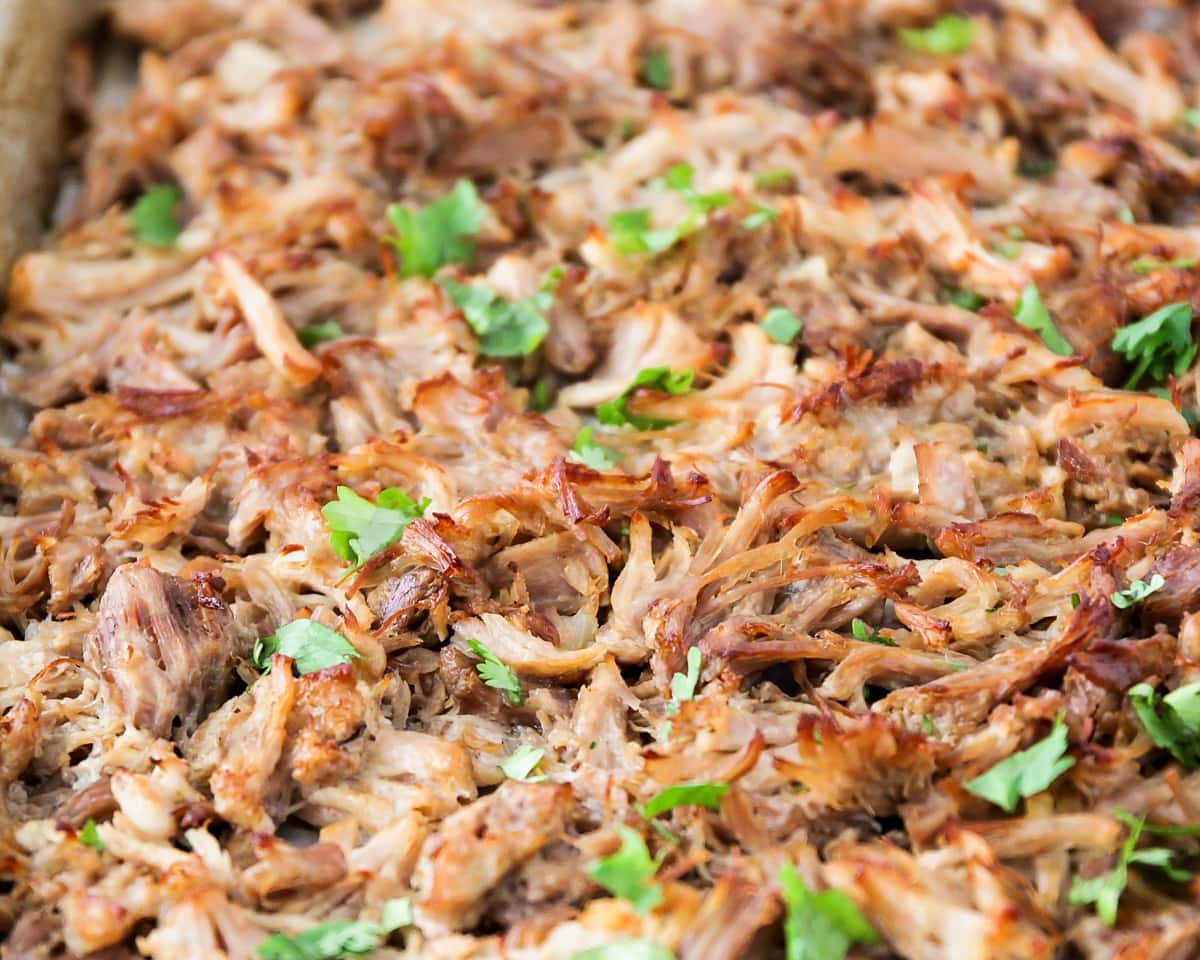Close up of shredded carnitas topped with cilantro.