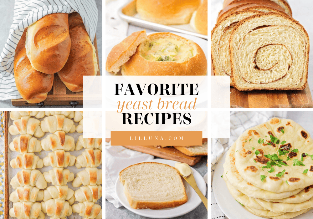 Collage of yeast bread recipes.