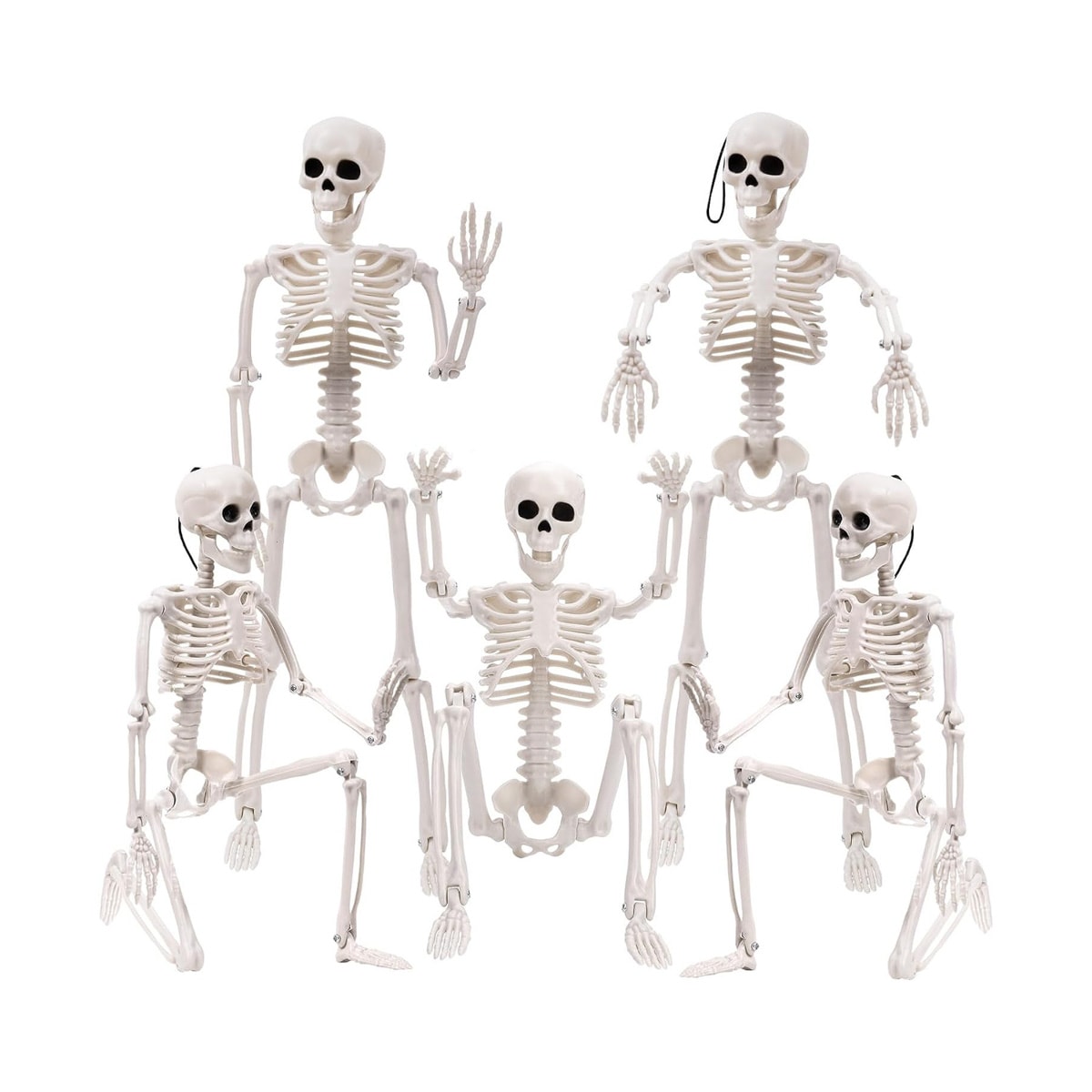 5 posable skeletons.