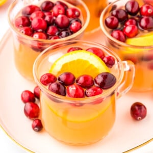 Christmas punch served with fresh cranberries and orange slices.