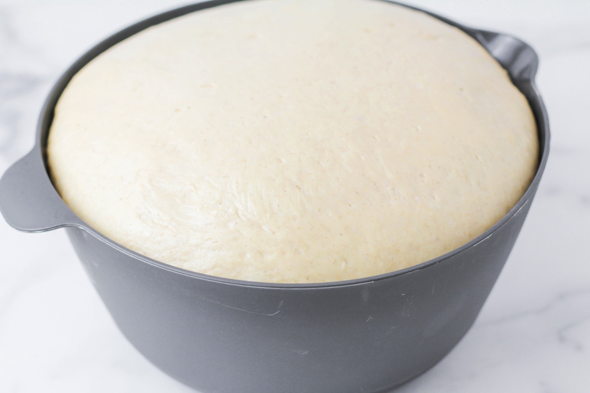 Dough in a gray bowl getting ready to rise.