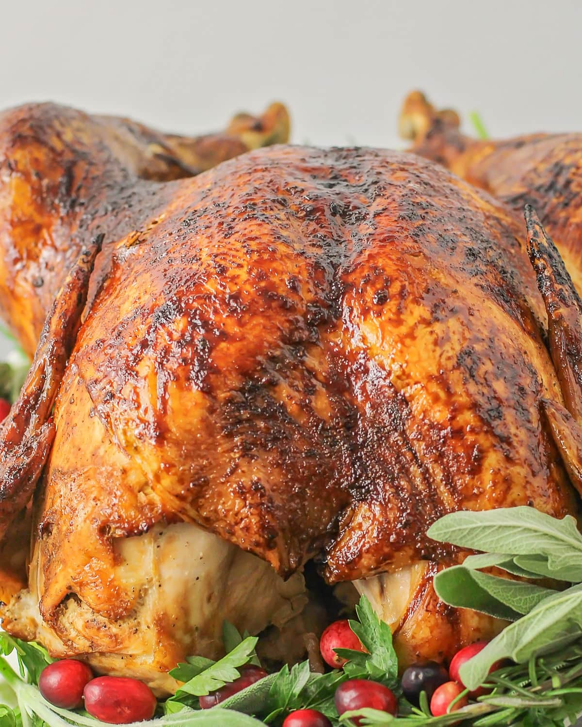 How to roast a turkey close up image.