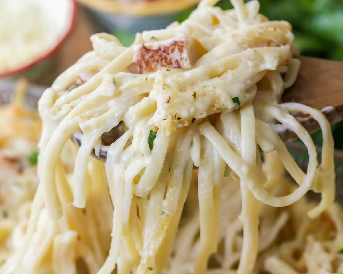 A spoonful of Turkey Tetrazzini up close.