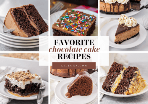 Chocolate Cake Recipes {15+ BEST!} | Lil' Luna