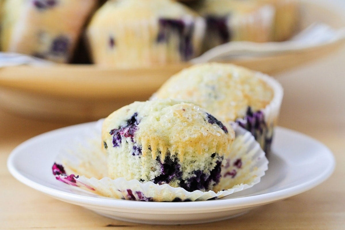 Two blueberry muffins on a white plate with one unwrapped.