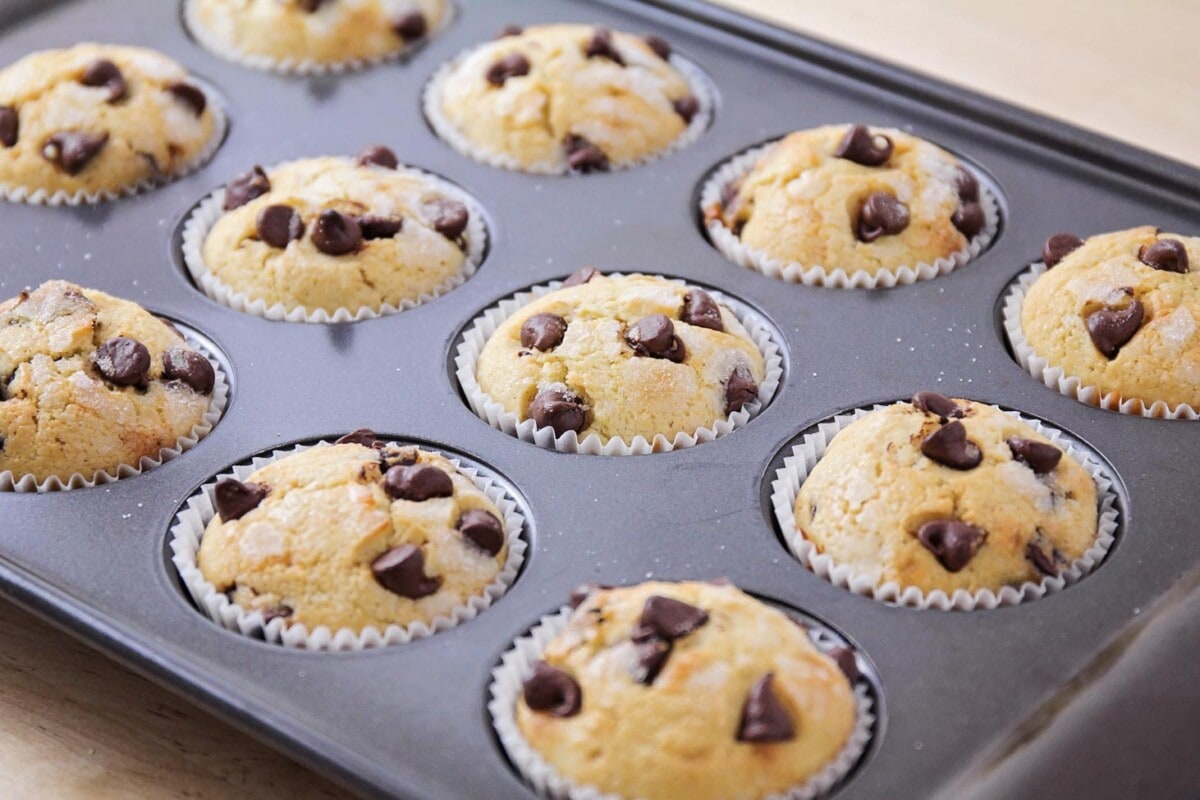 Baked muffins topped with chocolate chips in a muffin tin.