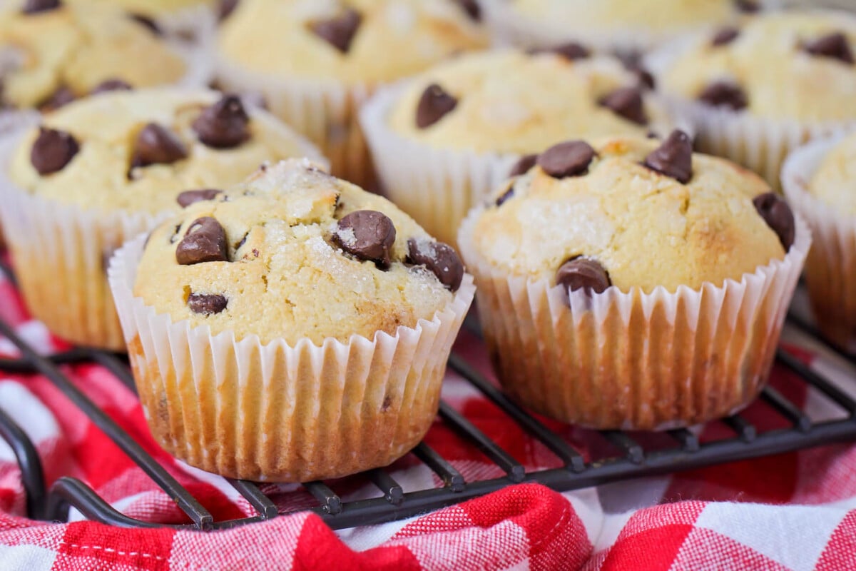 Chocolate chip muffins lined up on a baking rack.