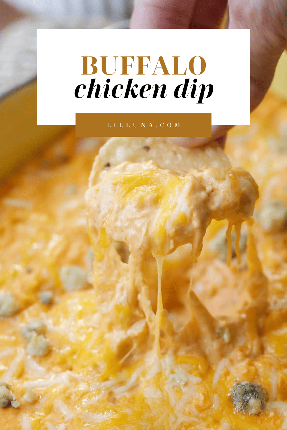 Buffalo Chicken Dip Recipe | Lil' Luna
