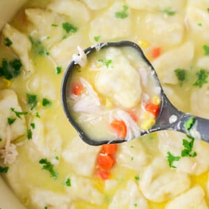 close up of a ladle in chicken dumpling soup.