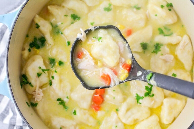 close up of a ladle in chicken dumpling soup.